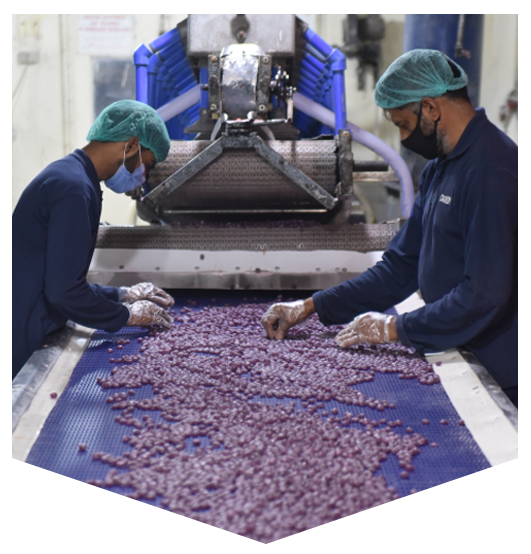 Two workers inspecting purple candies on a blue conveyor belt